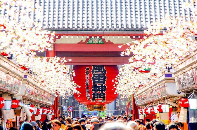 Tokyo Private Group Tour  Flexible Schedule and Stops - The Value of a Private, Custom Tour