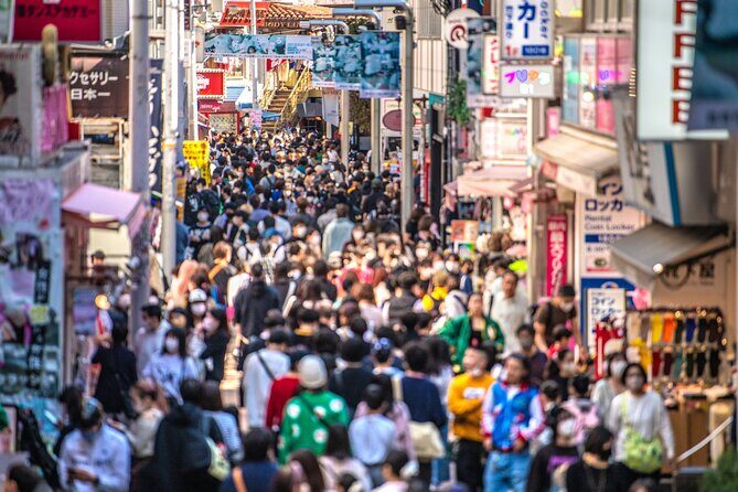 Tokyo Private Guided Day Tour with Private Vehicle Hotel Pickup - Authentic Traveler Insights