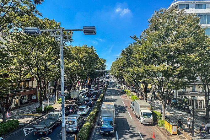 Tokyo Private Guided Day Tour with Private Vehicle Hotel Pickup - Good To Know