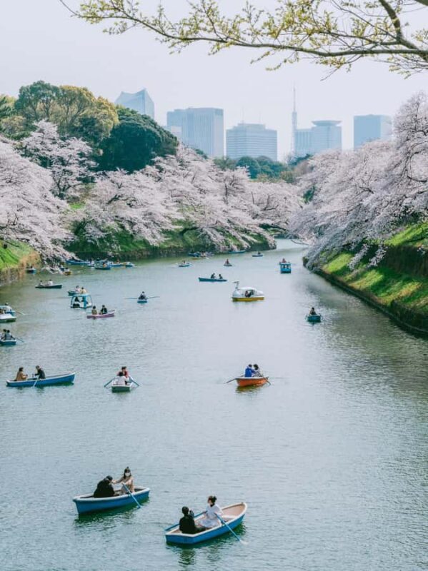 Tokyo: Private Guided Tour with a Local - Photo Stops & Cultural Insights
