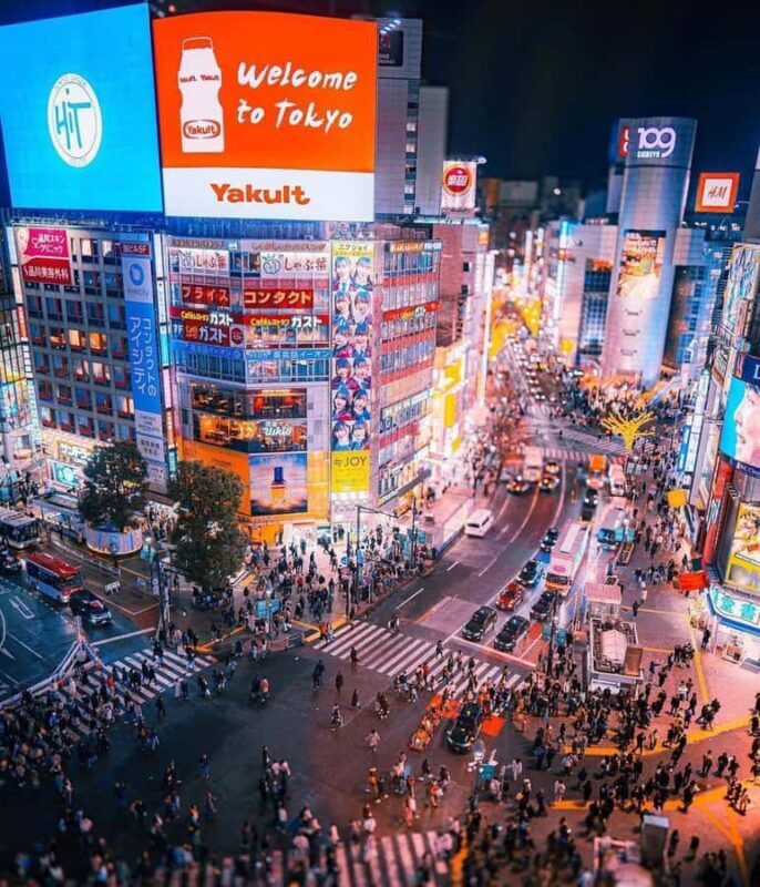 Tokyo: Private Guided Tour with Hotel Pickup and Drop-off - Analyzing the Itinerary: What You Can Expect
