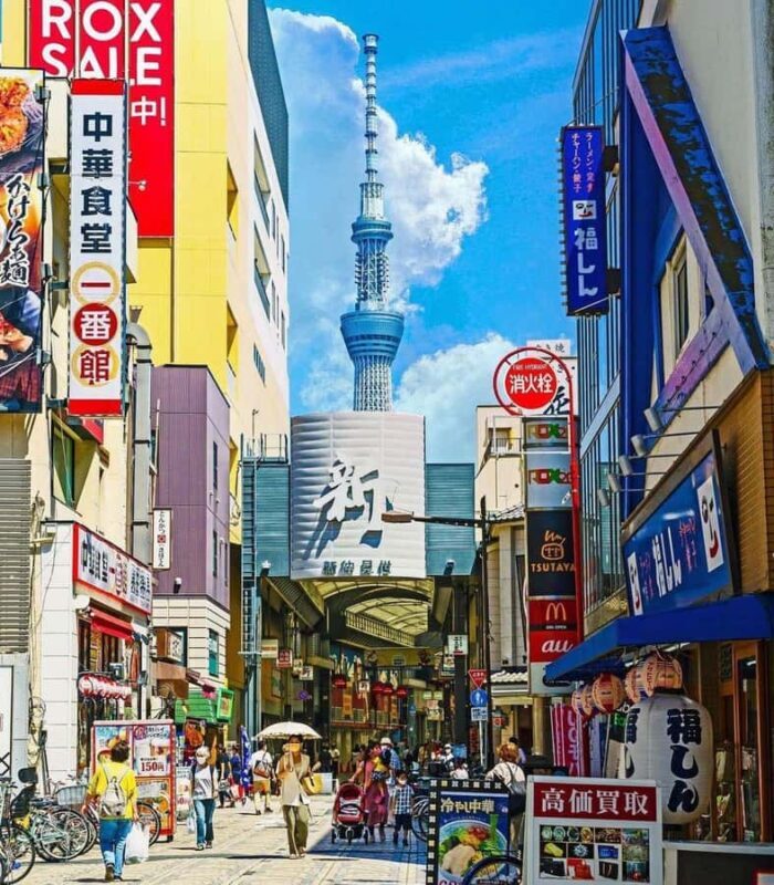 Tokyo: Private Guided Tour with Hotel Pickup and Drop-off - Value and Practical Considerations