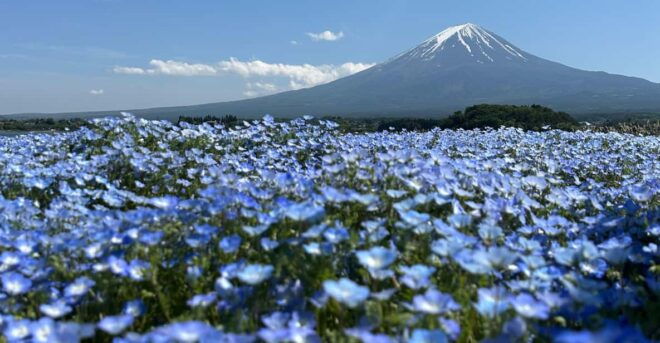Tokyo: Private Hakone and Mt. Fuji Tour With Guide - Key Tour Highlights
