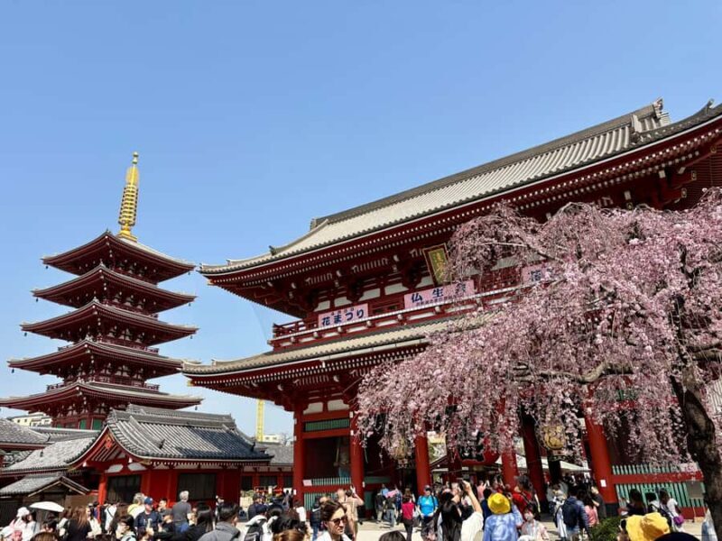 Tokyo: Private Half-Day Highlights Tour by Car with Guide - Good To Know