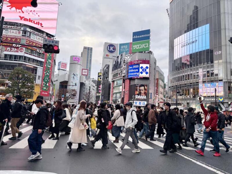 Tokyo: Private Half-Day Highlights Tour by Car with Guide - The Sum Up: Who Will Love This Tour?