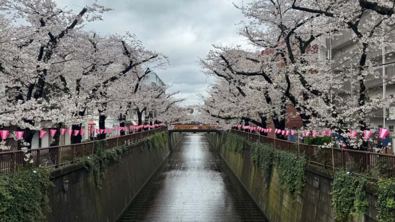 Tokyo: Private Hidden Gems Tour with Hotel Pickup - Tokyo: Private Hidden Gems Tour with Hotel Pickup