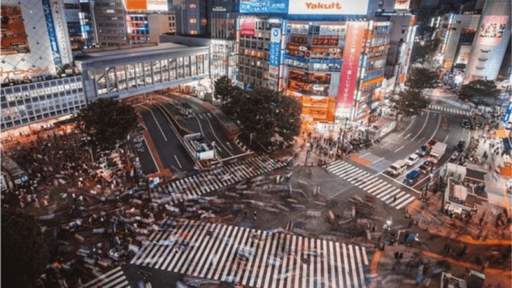 Tokyo: Private Instagramable Customised Tokyo City Day Tour - Transportation Options