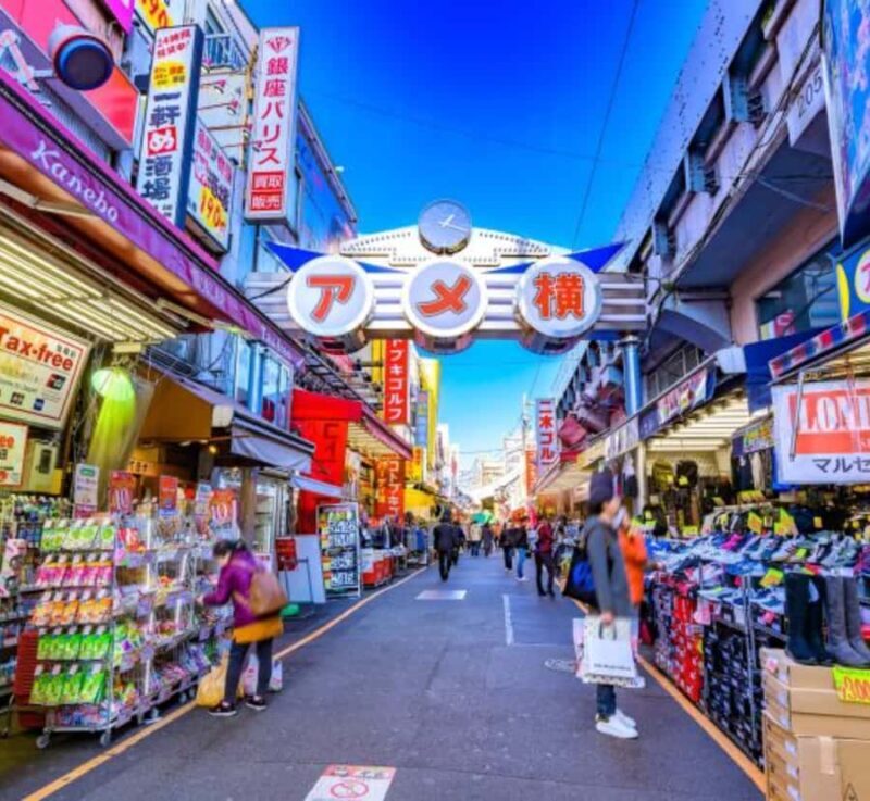 Tokyo: Private Izu Peninsula & Shimoda Day Trip - FAQ