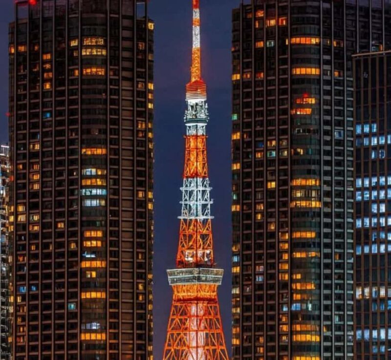 Tokyo: Private Izu Peninsula & Shimoda Day Trip - Good To Know