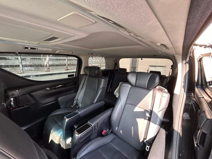 Tokyo Private Limousine Service (Airport Transfer in Option) - Tailored Itineraries