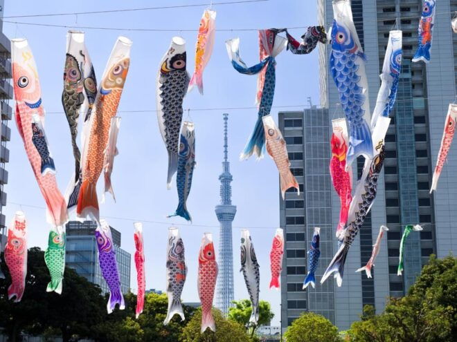 Tokyo Private Limousine Service (Airport Transfer in Option) - Inclusions and Exclusions