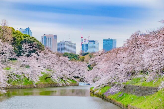 Tokyo Private Limousine Service (Airport Transfer in Option) - Booking Process