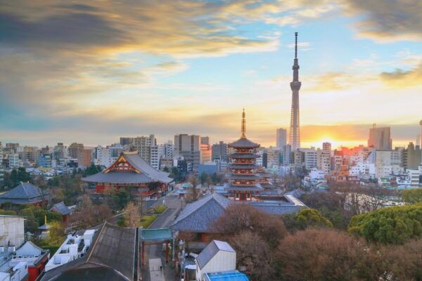 Tokyo Private Limousine Service (Airport Transfer in Option) - Frequently Asked Questions