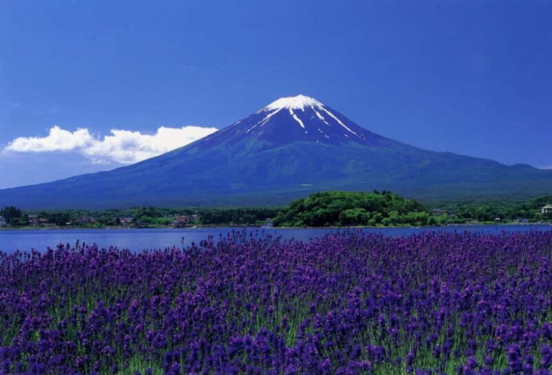 Tokyo : Private Luxury Tour To Mt Fuji With English Speaker - An Overview of the Tour Experience