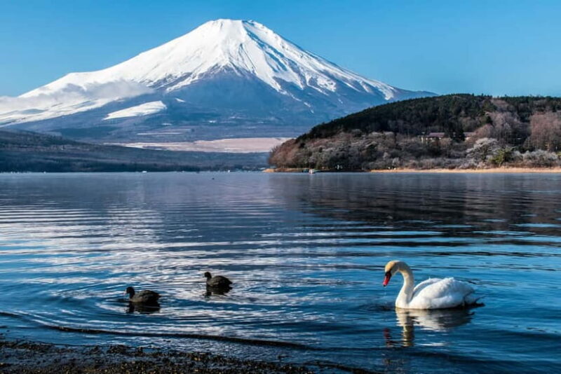 Tokyo : Private Luxury Tour To Mt Fuji With English Speaker - Authentic Experiences and Hidden Gems