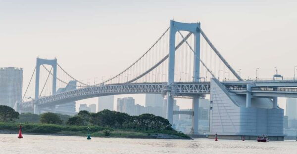 Tokyo: Private Luxury Transfer To/From Yokohama - Highlights of the Journey