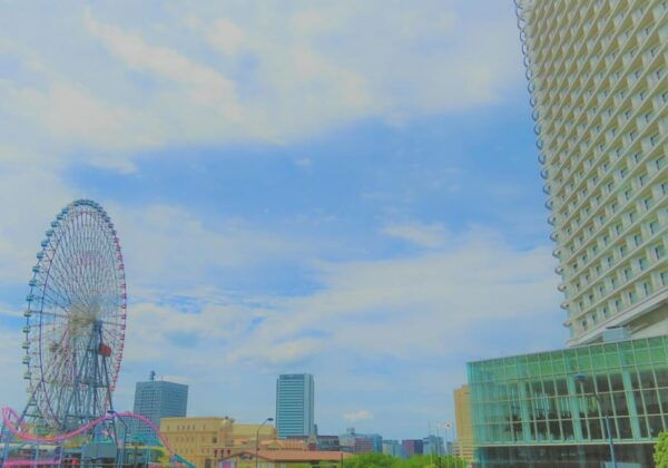 Tokyo: Private Luxury Transfer To/From Yokohama - Important Booking Information