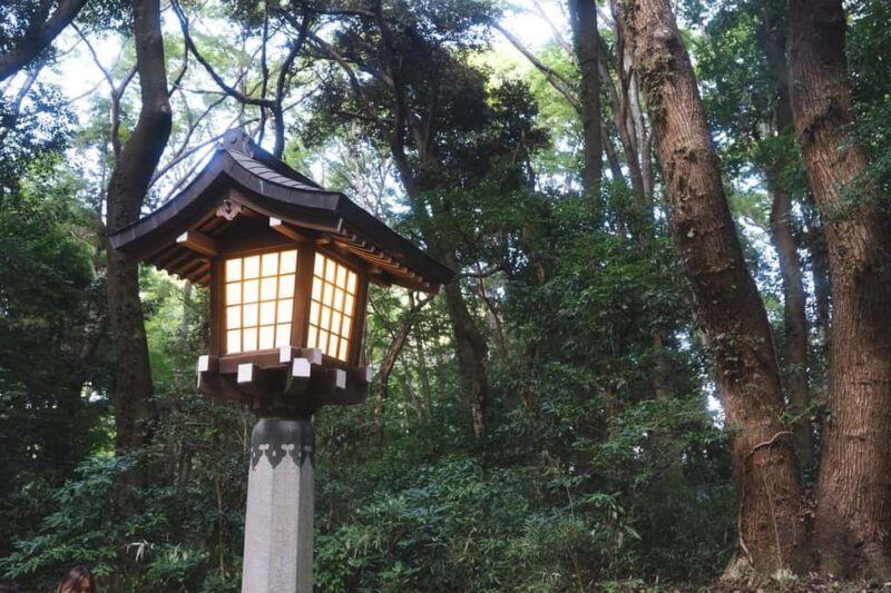 Tokyo: Private Meiji Shrine & Harajuku Highlights Tour - The Value of the Experience