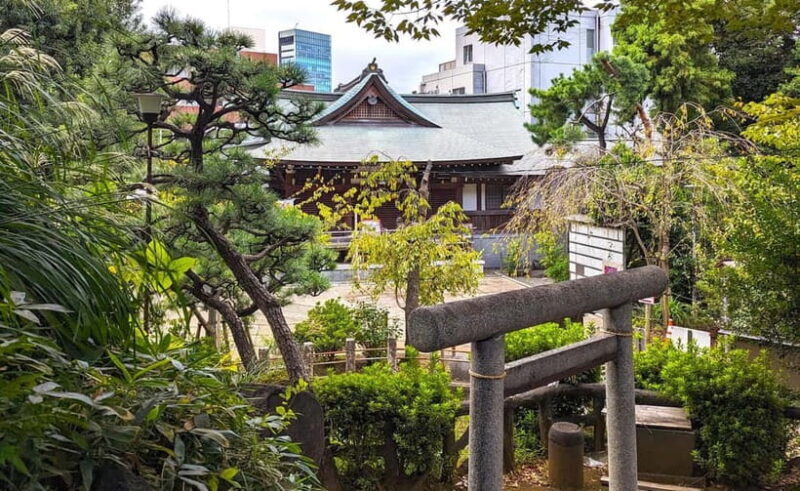Tokyo: Private Morning Run with Sento Bath Experience - The Sento Bath: Authentic Culture & Relaxation