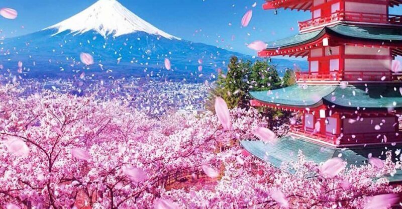 Tokyo: Private Mount Fuji and Hakone Day Trip with Guide - From the Perspectives of Past Travelers