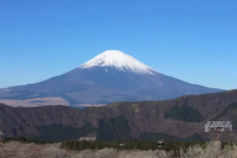 Tokyo: Private Mount Fuji Day Trip with Private Guide - The Realities of the Tour