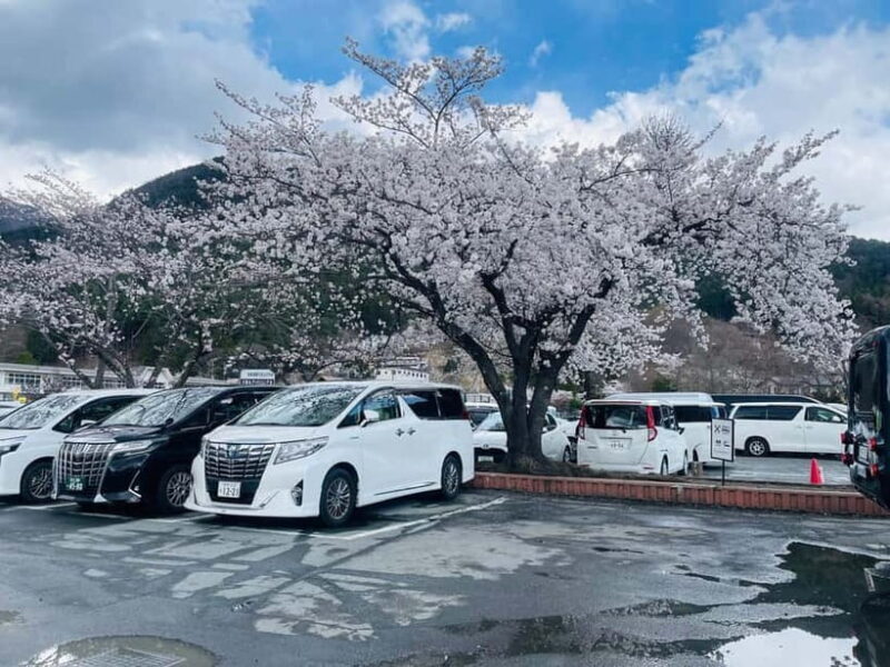 Tokyo: Private Mount Fuji Day Trip with Private Guide - Who Would Love This Tour?