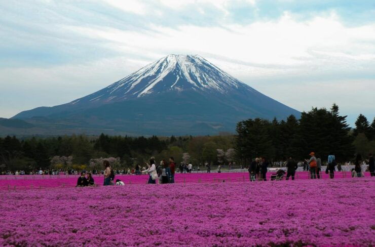 Tokyo: Private Mount Fuji Tour With Pickup and Drop-Off - Good To Know