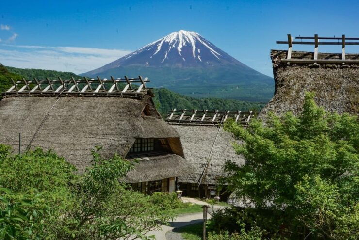 Tokyo: Private Mount Fuji Tour With Pickup and Drop-Off - Customizable Itinerary Options