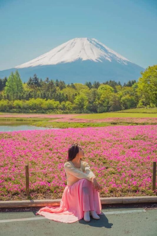 Tokyo: Private Mt. Fuji and Shibazakura Spring Tour - The Experience in Detail