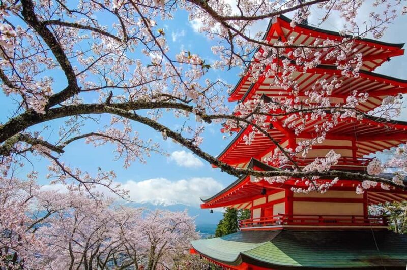 Tokyo: Private Mt.Fuji Day Trip with English-Speaking Driver - Good To Know