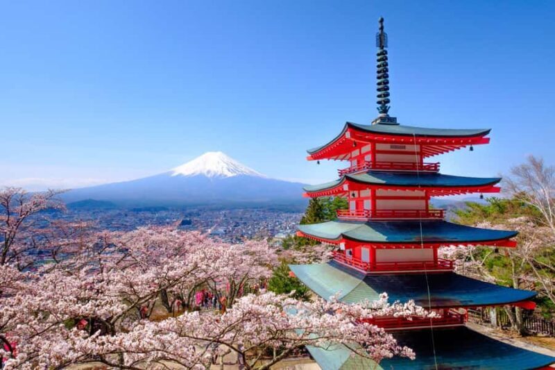 Tokyo: Private Mt.Fuji Day Trip with English-Speaking Driver - Why Choose This Mount Fuji Day Trip?