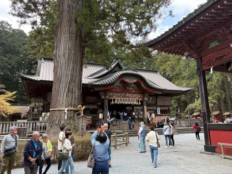 Tokyo: Private Mt. Fuji Day Trip with Local Guide - Frequently Asked Questions