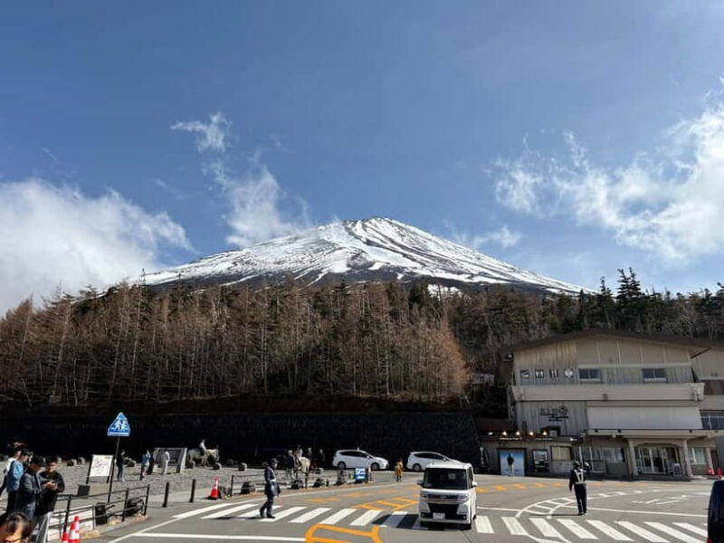 Tokyo: Private Mt. Fuji Day Trip with Local Guide - Final Thoughts