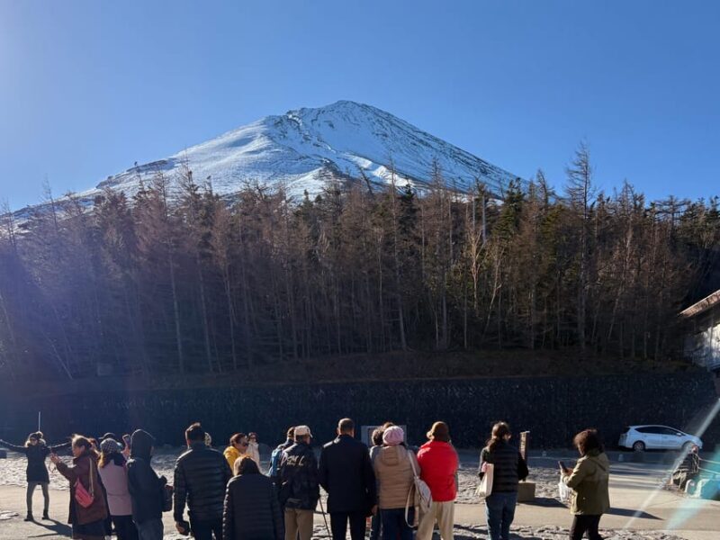 Tokyo: Private Mt. Fuji Day Trip with Local Guide - A Deep Dive into the Experience