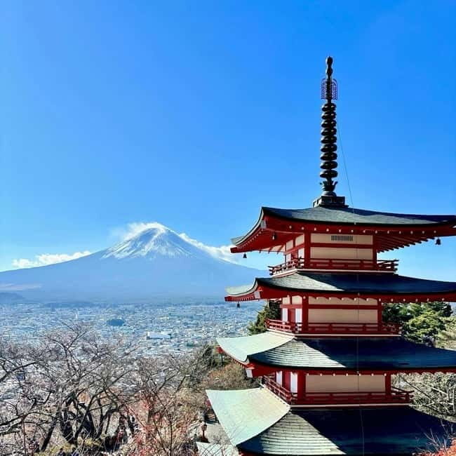 Tokyo: Private Mt. Fuji Day Trip with Local Guide - Who Will Love This Tour?