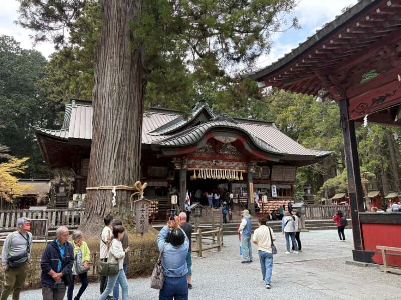 Tokyo: Private Mt. Fuji Day Trip with Local Guide - FAQ