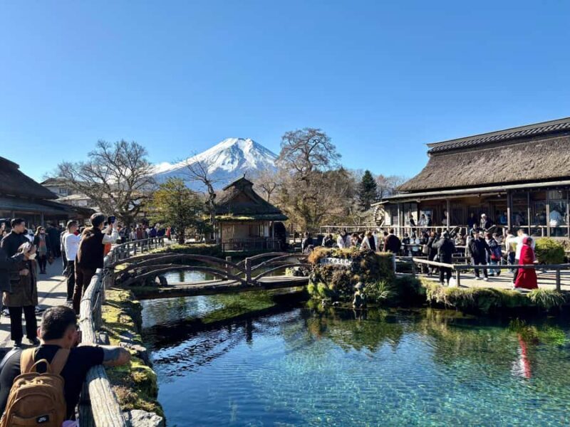 Tokyo: Private Mt. Fuji & Hakone Day Tour by Luxury Car - Good To Know