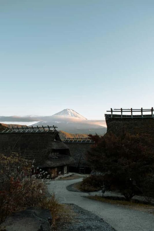 Tokyo: Private Mt. Fuji & Hakone Tour with English Driver - The Sum Up