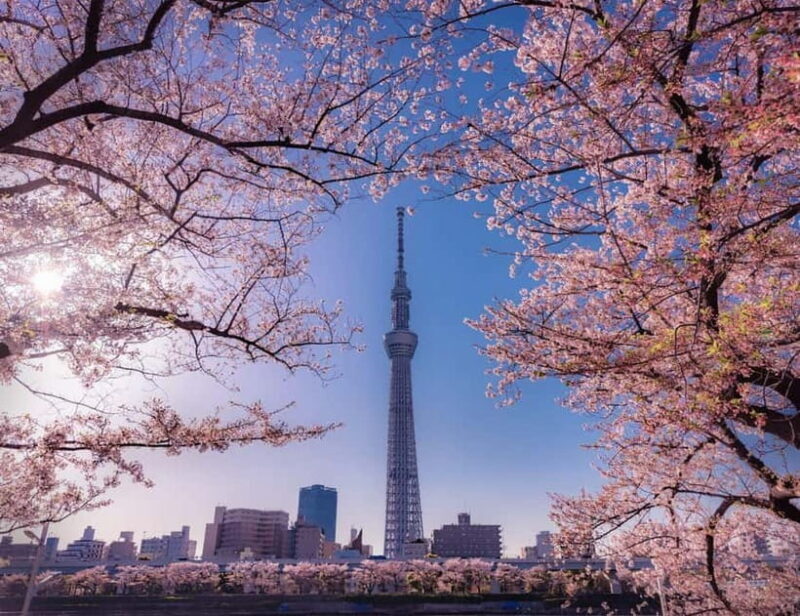 Tokyo: Private Nikko Day Tour of Temples, Lakes & Waterfalls - FAQ