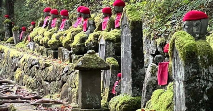 Tokyo: Private Nikko Sightseeing Tour In Luxury Land Cruiser - Good To Know