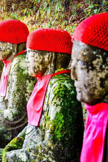 Tokyo: Private Nikko Sightseeing Tour In Luxury Land Cruiser - Inclusions and Amenities