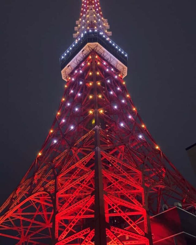 Tokyo Private One-Day Tour  Local Driver - Value for Money and Practicalities