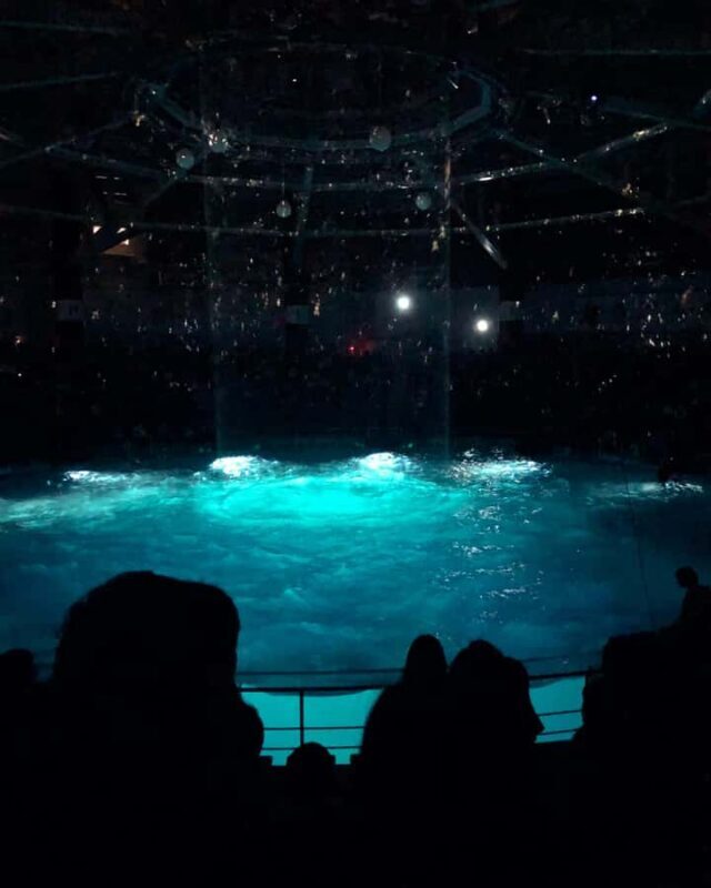 Tokyo Private One-Day Tour  Local Driver - FAQs