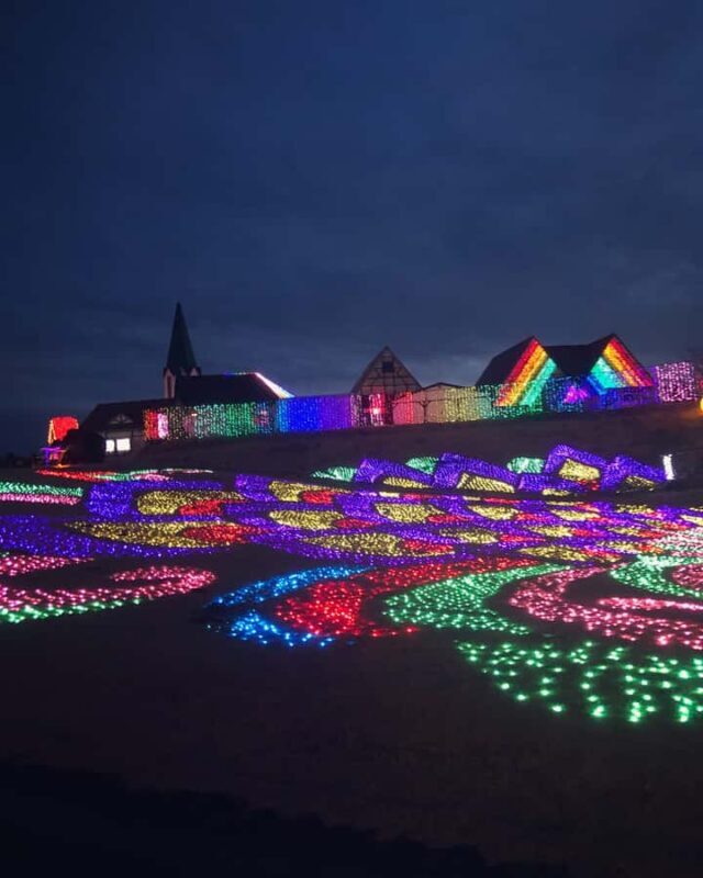 Tokyo Private One-Day Tour Local Driver - Good To Know