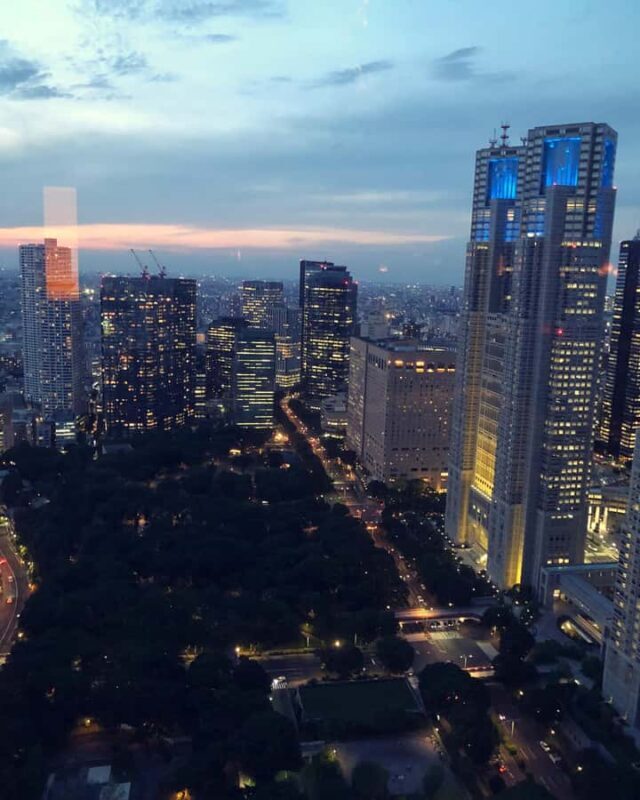 Tokyo Private One-Day Tour Local Driver - The Flexibility of a Customizable Itinerary