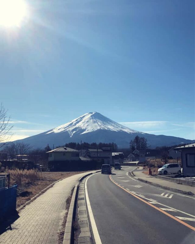 Tokyo Private One-Day Tour Local Driver - Practical Tips for Your Tour