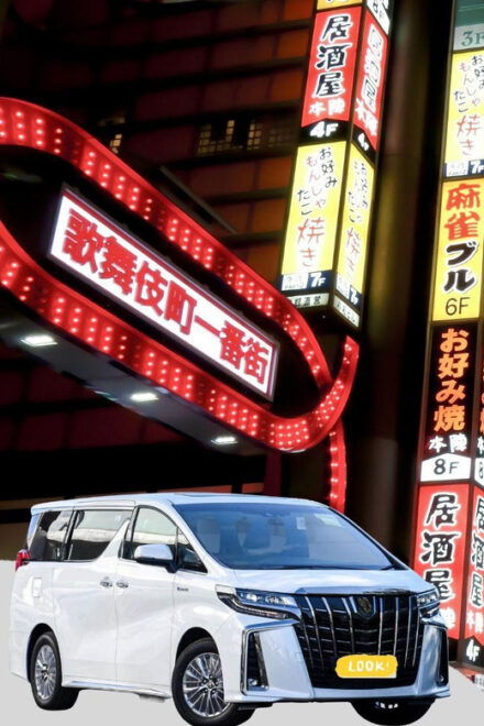 Tokyo: Private One-Way Transfer Services From Haneda Airport - Driver Qualifications