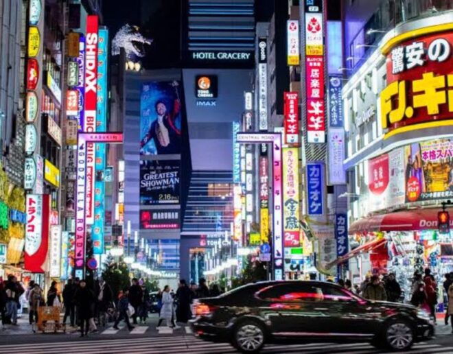 Tokyo Private Sightseeing Customized Day Tour by Car and Van - Customization and Flexibility