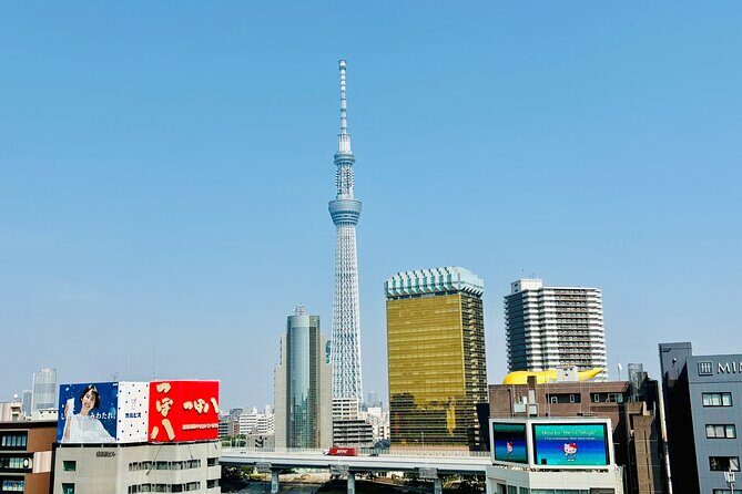 Tokyo Private Sightseeing Tour by Car with Local Guide - Who Is This Tour Best For?