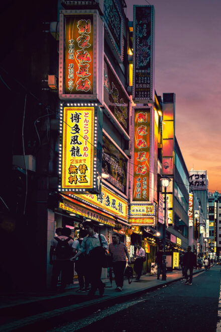 Tokyo Private Sightseeing Tour by English Speaking Chauffeur - Important Tour Notes